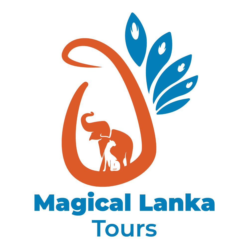 Packages | Magical Lanka Tours